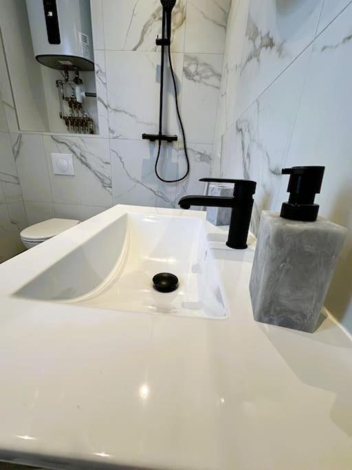 Spacious & Luxuary Studio Amiens Bagian luar foto