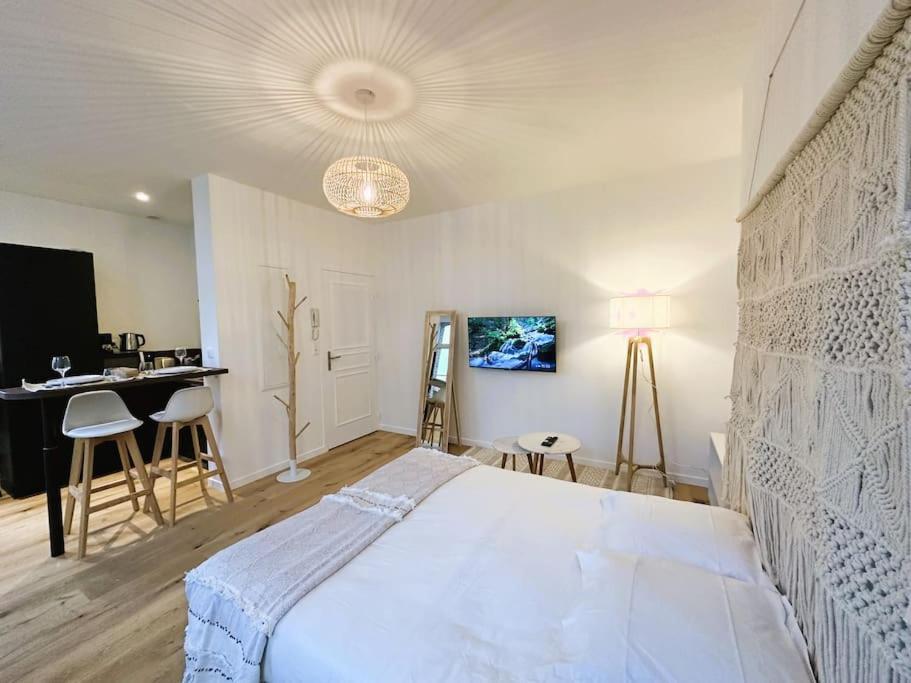 Spacious & Luxuary Studio Amiens Bagian luar foto